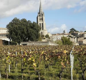 Les vignobles autour de Saint Emilion - Saint Emilion - 2