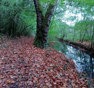 Poitiers, Saint-Benoît par la vallée du Miosson - Poitiers - 5