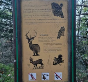 Le mur païen nord via le sentier des merveilles - Ottrott - 2