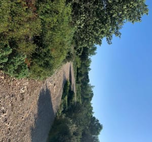 Promenade du côté de Fontvieille et ses sentiers - DANY - 2
