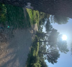 Promenade du côté de Fontvieille et ses sentiers - Fontvieille - 2