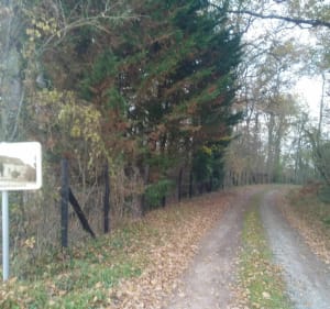 Balade dans la Membrolle sur Choisille - Gaëlle - 3