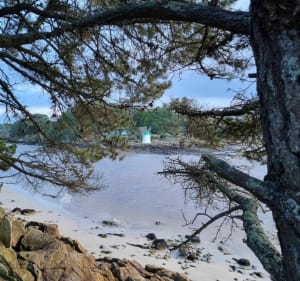 Nettoyage de plage au cabellou - Concarneau - 2