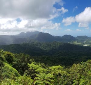 Boucle Morne Jacob et Morne La Caillierie - Le Morne Rouge - 2