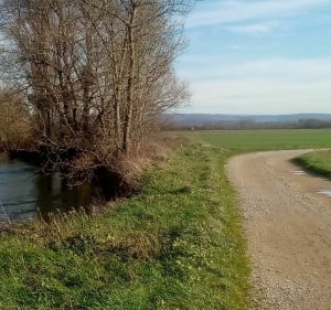 Boucle Le Tartre Cosges par la plaine - Maryline - 3