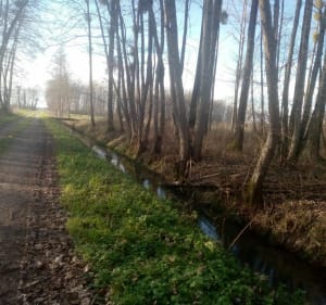 Boucle Le Tartre Cosges par la plaine - Maryline - 2