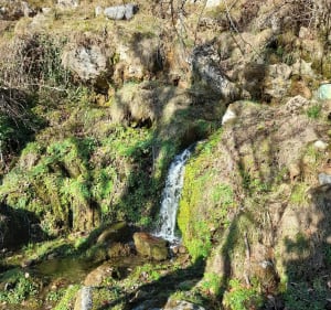 Pic de Peyre depuis Arcizans - Arcizans-Dessus - 2