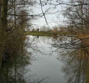 Du marais au centre bourg de Soullans - Soullans - 2