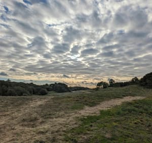 Vers l'écluse et plages des Granges à travers la forêt - Les Sables-d'Olonne - 2