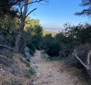 Trail en colline de l'Estaque - Châteauneuf-les-Martigues - 2