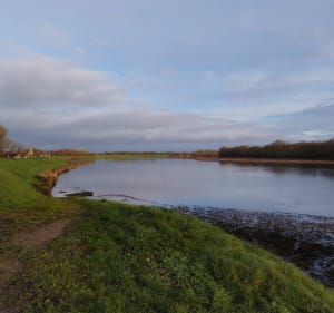 Balade en bord de Loire à Guilly - Alison - 3
