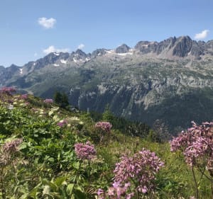 Le glacier d'Argentiere depuis le camping. - Frederic - 3