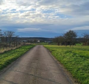 Promenade entre Wassy et Attencourt - Wassy - 2
