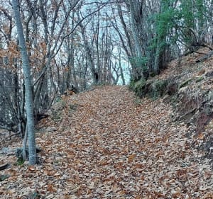 Rando à Notre Dame des Anges - Pignans - 2