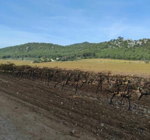 Belle rando autour d'Aubagne, Carnoux, la Bédoule, Gémenos - Aubagne - 2