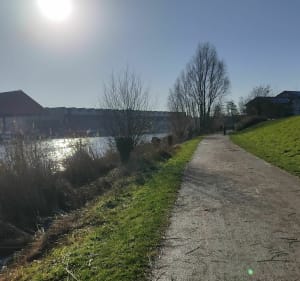 Promenade sur l'île de bois blanc - Lille - 3