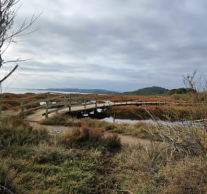 Bages en zijn vijvers, via de Roc de Berrière - Bages - 2