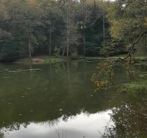 Igon, lac de Sarguaillouse et crêtes de Coarraze. - Igon - 2