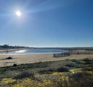 Canal de Marennes, plus Marennes plage - Marennes-Hiers-Brouage - 2