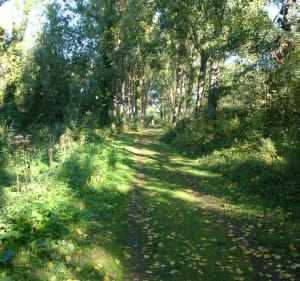 Biache Saint-Vaast - la Kwarta - Biache-Saint-Vaast - 2