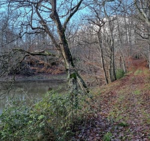 Randonnée pédestre à Dénezé-sous -le-Lude - Didier - 3