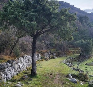 Tour du Roc de l'Orméa en passant par le col du Berceau - Castellar - 2