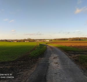 Villeneuve sur Bellot 8 k de Montflageol - Villeneuve-sur-Bellot - 2