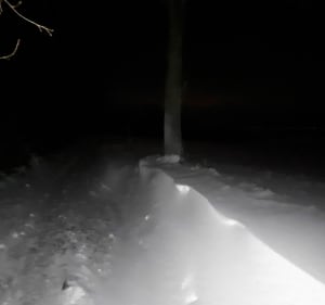 Petite balade autour de Bugnette - Saint-Genest-Lerpt - 2