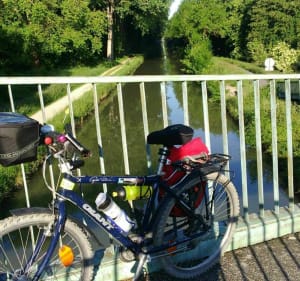Boucle du Perreux sur Marne à Meaux pour VTTiste confirmé - Le Perreux-sur-Marne - 2