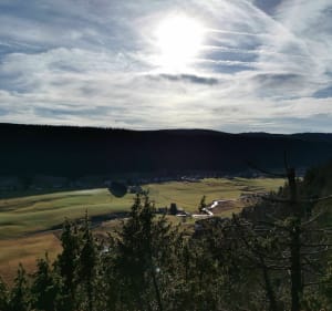 Petite boucle du creux (Bois-d'Amont) - Bois-d'Amont - 3