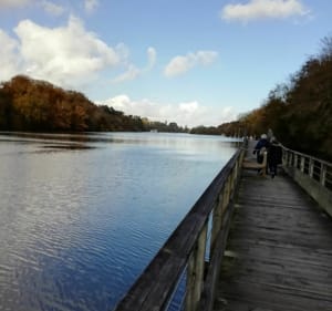 Randonnée vivifiante en bord de l'Erdre. - Nantes - 2