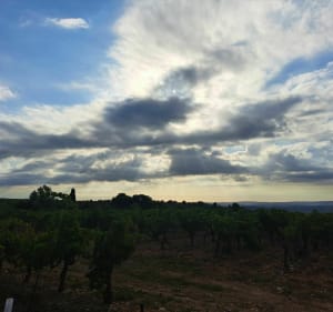 Vers le plateau de Montouliers - Sallèles-d'Aude - 2