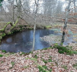 Sortie VTT de la mare aux fées à la grotte Béatrix et la pierre - LAURENT - 2
