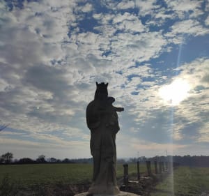 Rando des vignes, Muzillac - Muzillac - 2