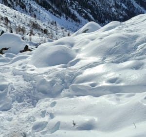Bij de berghut van Nice - Belvédère - 2