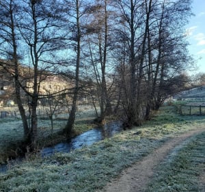 Chemin de forêt proche de la rivière - Loudes - 2