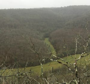 Randonnée au Val-Suzon - Val-Suzon - 4