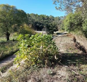 Vidauban, balade autour du château d'Astros - Decathlon - 3