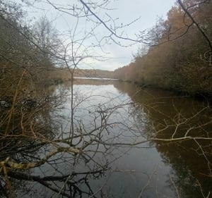 Belle balade avec 80 % de chemin - Beaulon - 2