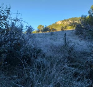 Rando autour de Propriac dans les Baronnie - Propiac - 2