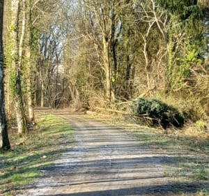 Autour de Mortain par Romagny - Mortain-Bocage - 2