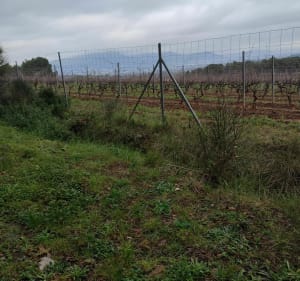 De Toulon vers la Colle Noire et le Baou Rouge - Toulon - 2