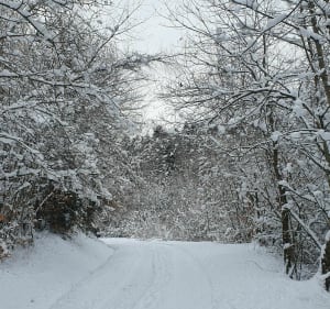 Saint-Jean-de-Tholome et le Col du Réray - Saint-Jean-de-Tholome - 2
