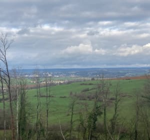 Boucle Thelonne-Haraucourt-Angecourt - Thelonne - 2