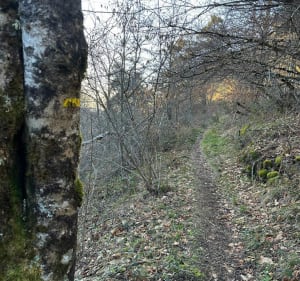 Promenade à Aurelle - Saint Geniez d'Olt et d'Aubrac - 2