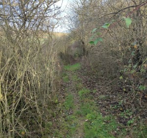 Circuit de Braches - Braches - 2