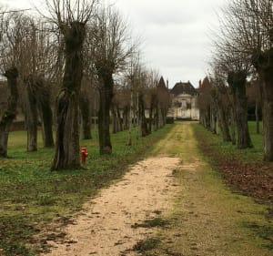 Randonnée dans les combes de Dijon - Philippe - 4