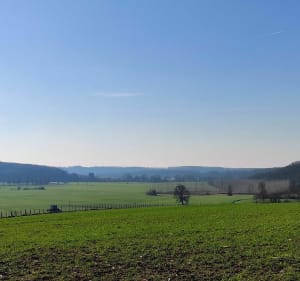Promenade dans la prairie de Fédry et ses bords de Saône - Fédry - 2