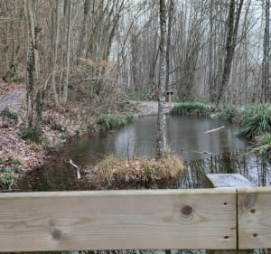 Ballade autour de  Torchefelon. - Philippe - 4