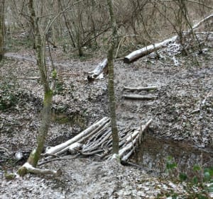 Ballade autour de  Torchefelon. - Torchefelon. - 2